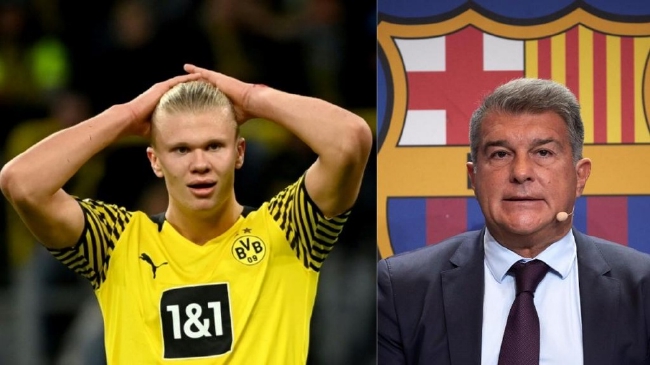 女性博彩分析师比例升至45%